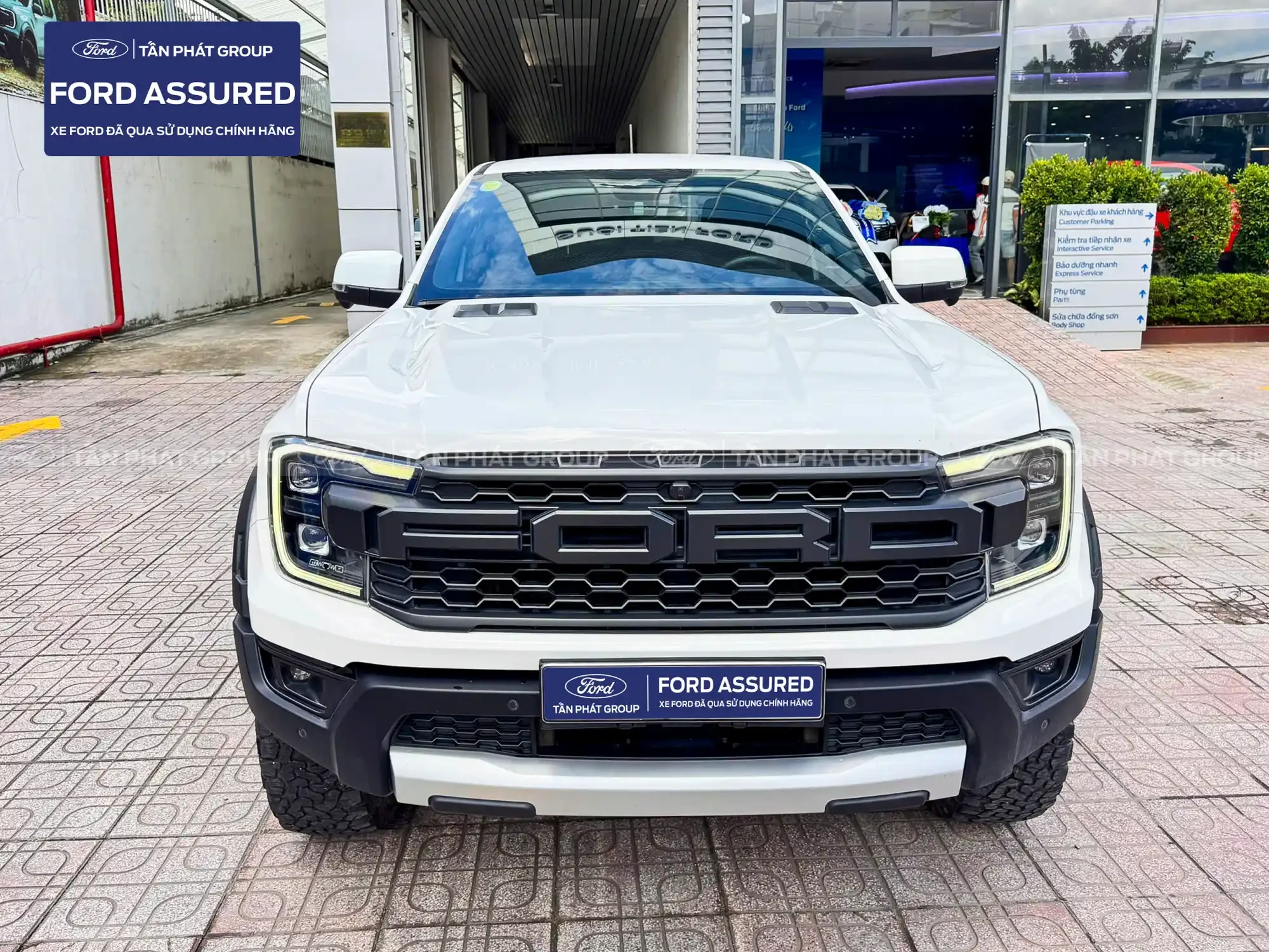 FORD RAPTOR 2023 Xe Lướt - MÀU TRẮNG